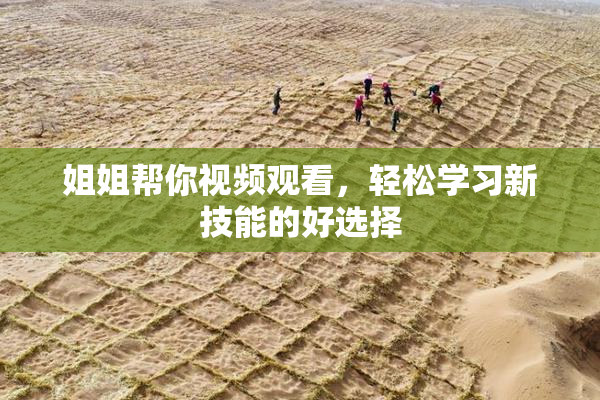 姐姐帮你视频观看，轻松学习新技能的好选择