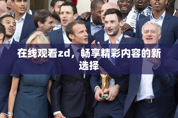 在线观看zd，畅享精彩内容的新选择