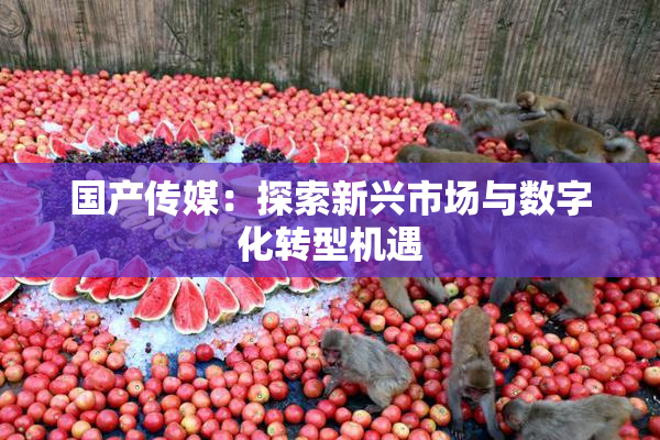 国产传媒：探索新兴市场与数字化转型机遇