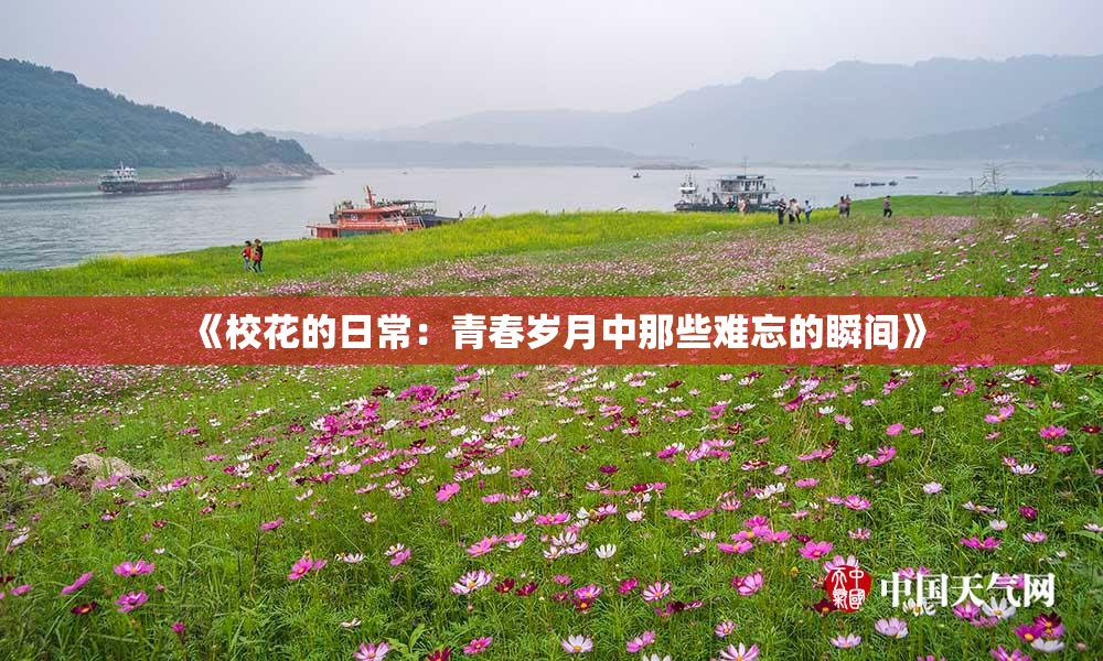 《校花的日常：青春岁月中那些难忘的瞬间》