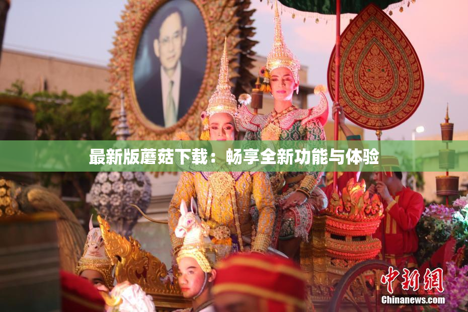 最新版蘑菇下载：畅享全新功能与体验