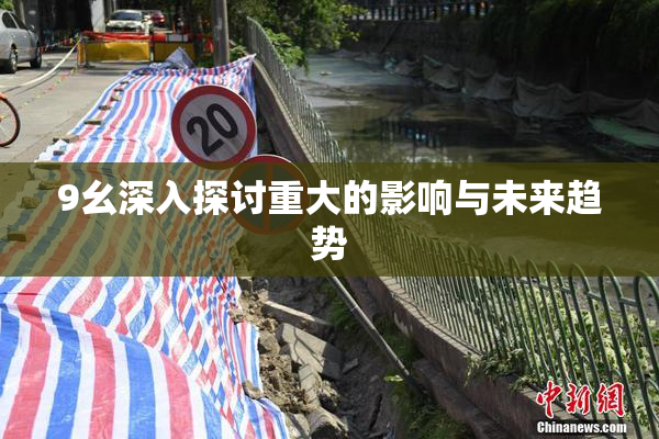 9幺深入探讨重大的影响与未来趋势