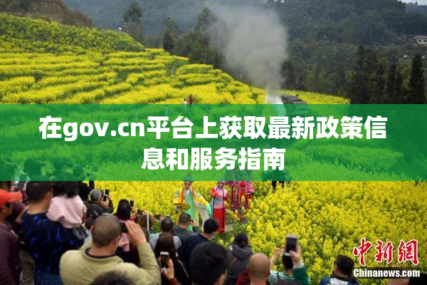 在gov.cn平台上获取最新政策信息和服务指南