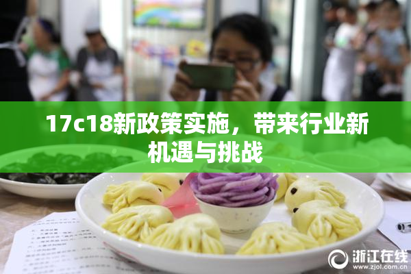17c18新政策实施，带来行业新机遇与挑战