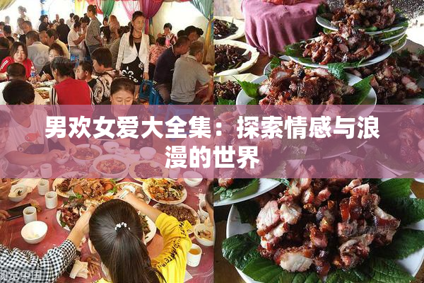 男欢女爱大全集：探索情感与浪漫的世界