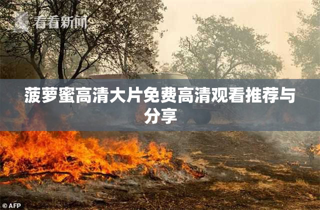 菠萝蜜高清大片免费高清观看推荐与分享