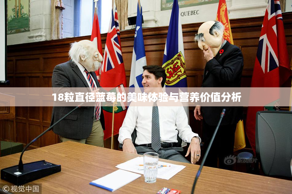18粒直径蓝莓的美味体验与营养价值分析