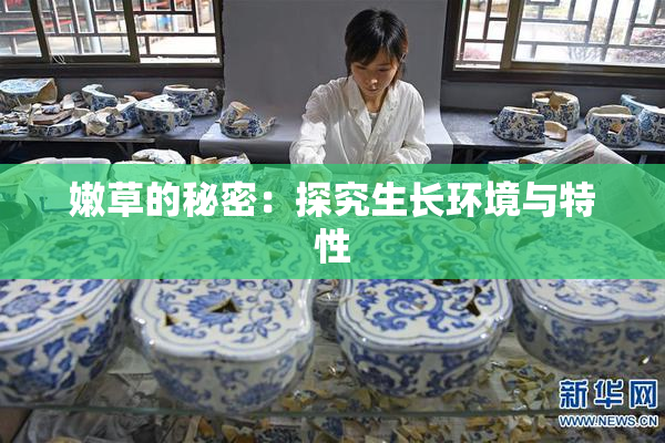 嫩草的秘密：探究生长环境与特性