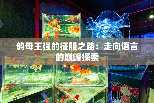 韵母王强的征服之路：走向语言的巅峰探索