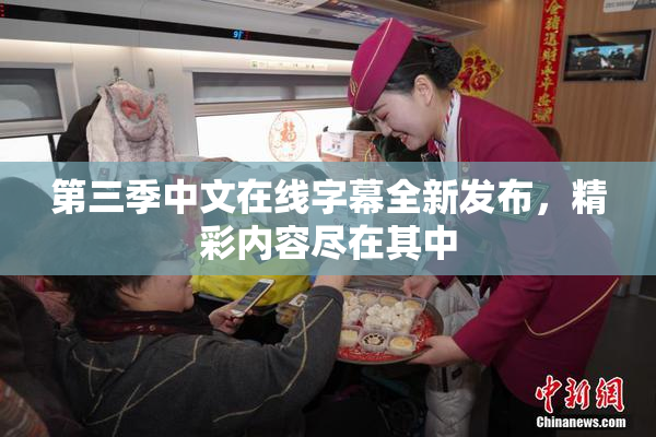 第三季中文在线字幕全新发布，精彩内容尽在其中