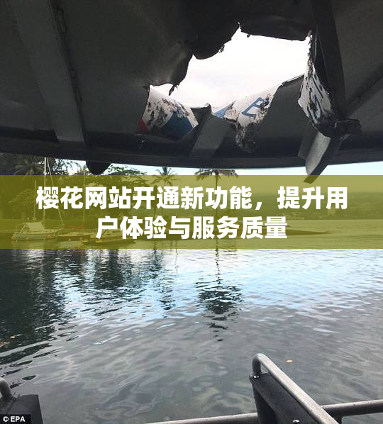 樱花网站开通新功能，提升用户体验与服务质量