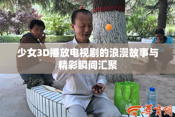 少女3D播放电视剧的浪漫故事与精彩瞬间汇聚