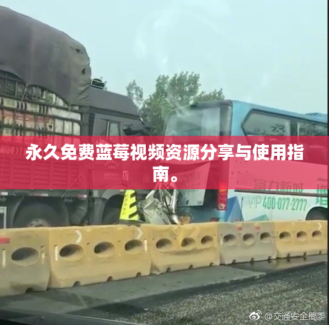永久免费蓝莓视频资源分享与使用指南。