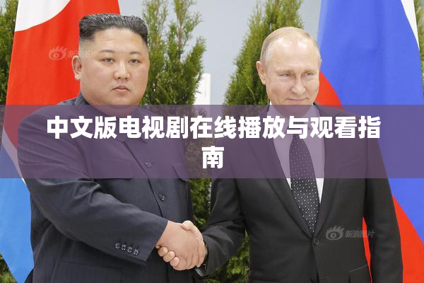 中文版电视剧在线播放与观看指南