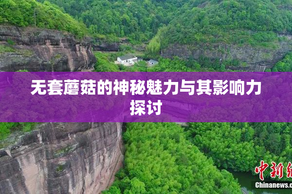 无套蘑菇的神秘魅力与其影响力探讨