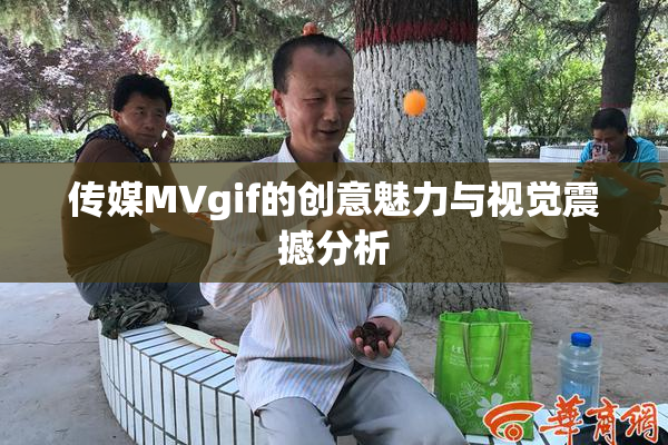 传媒MVgif的创意魅力与视觉震撼分析