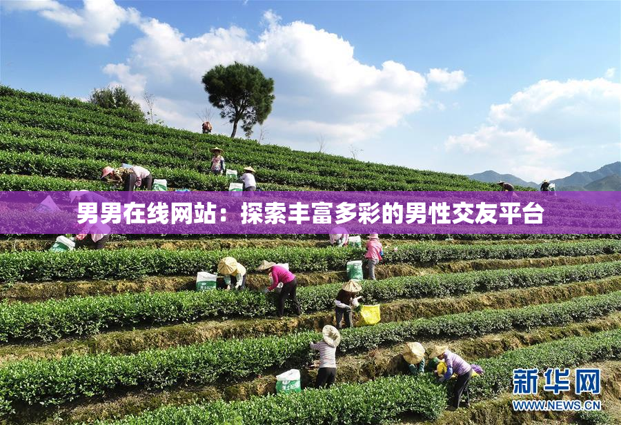 男男在线网站：探索丰富多彩的男性交友平台