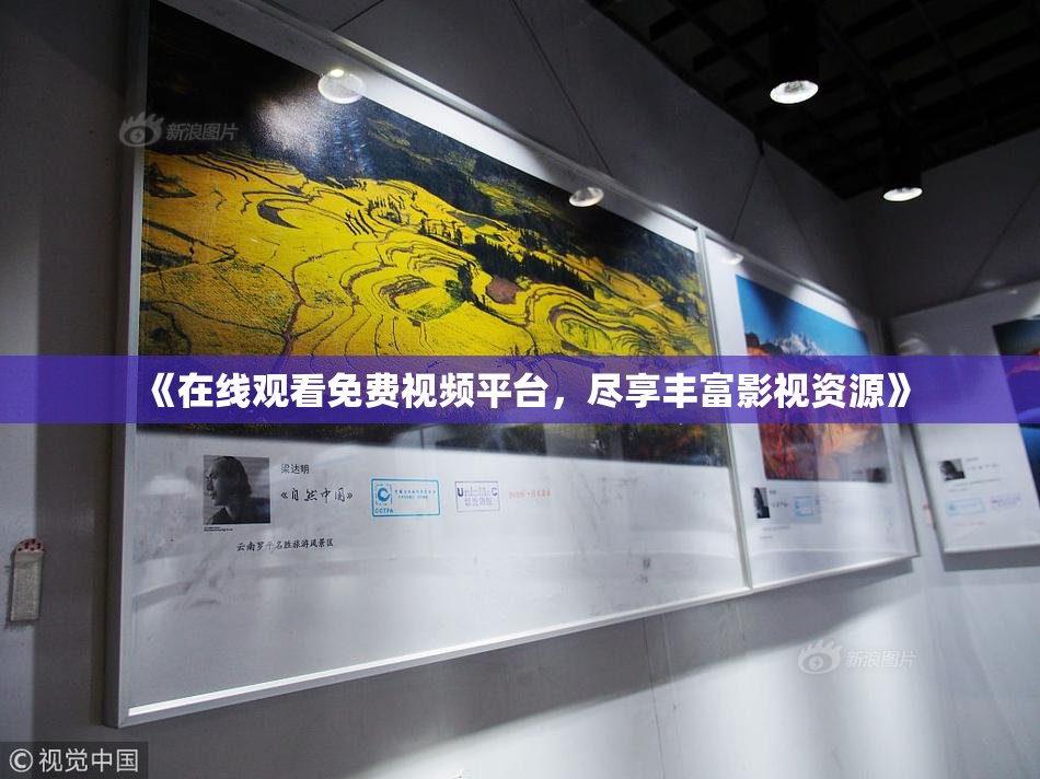 《在线观看免费视频平台，尽享丰富影视资源》