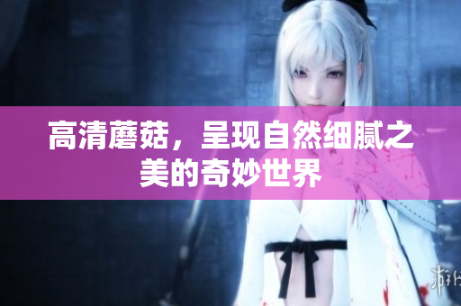 高清蘑菇，呈现自然细腻之美的奇妙世界