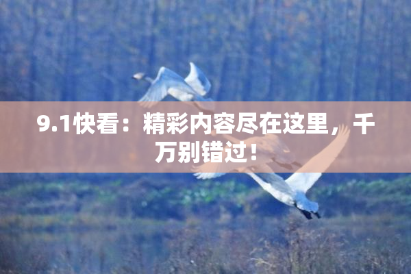 9.1快看：精彩内容尽在这里，千万别错过！