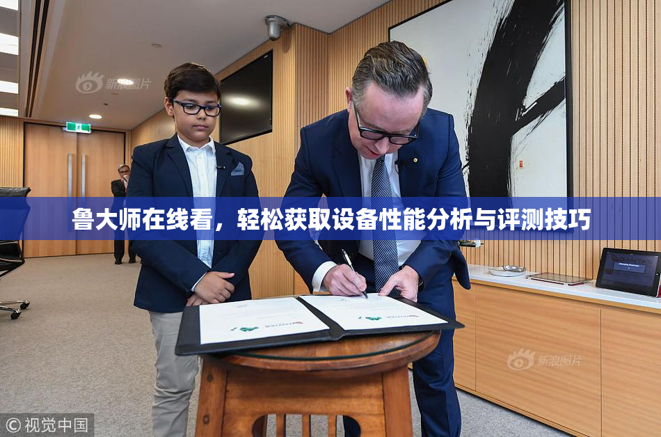 鲁大师在线看，轻松获取设备性能分析与评测技巧