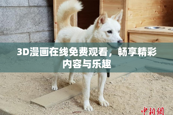 3D漫画在线免费观看，畅享精彩内容与乐趣
