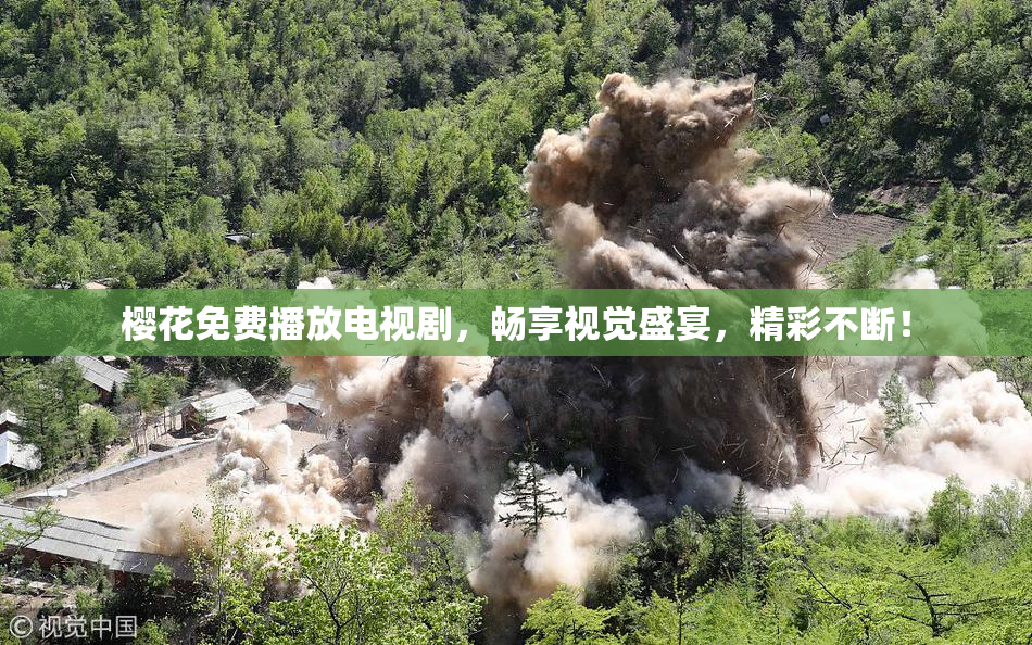 樱花免费播放电视剧，畅享视觉盛宴，精彩不断！