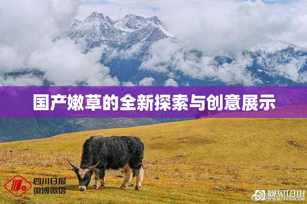 国产嫩草的全新探索与创意展示