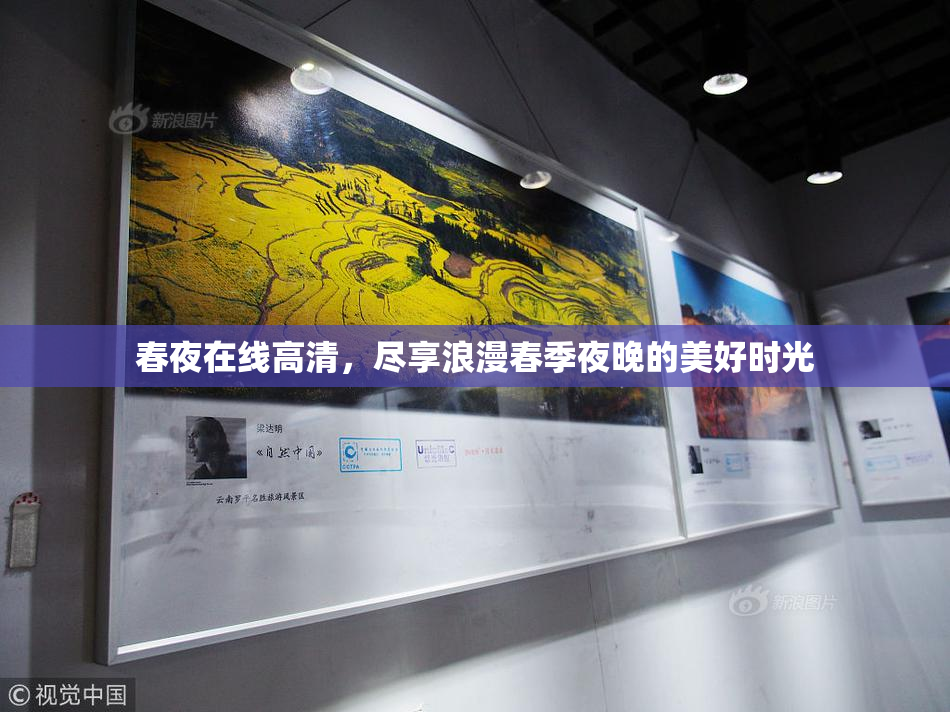 春夜在线高清，尽享浪漫春季夜晚的美好时光