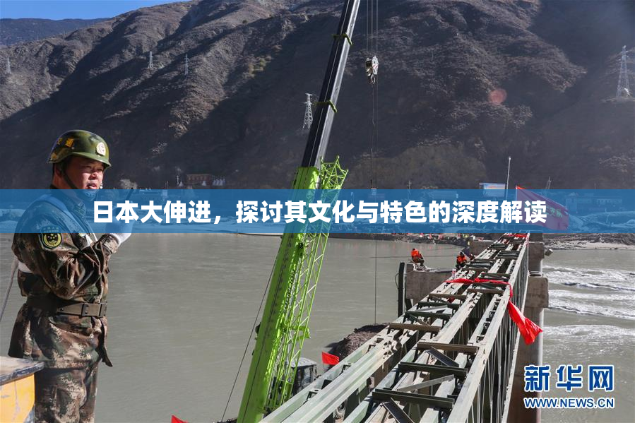 日本大伸进，探讨其文化与特色的深度解读