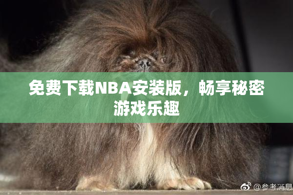 免费下载NBA安装版，畅享秘密游戏乐趣