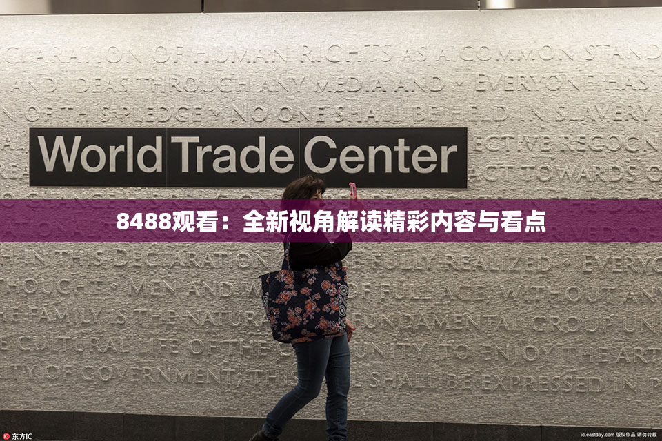 8488观看：全新视角解读精彩内容与看点