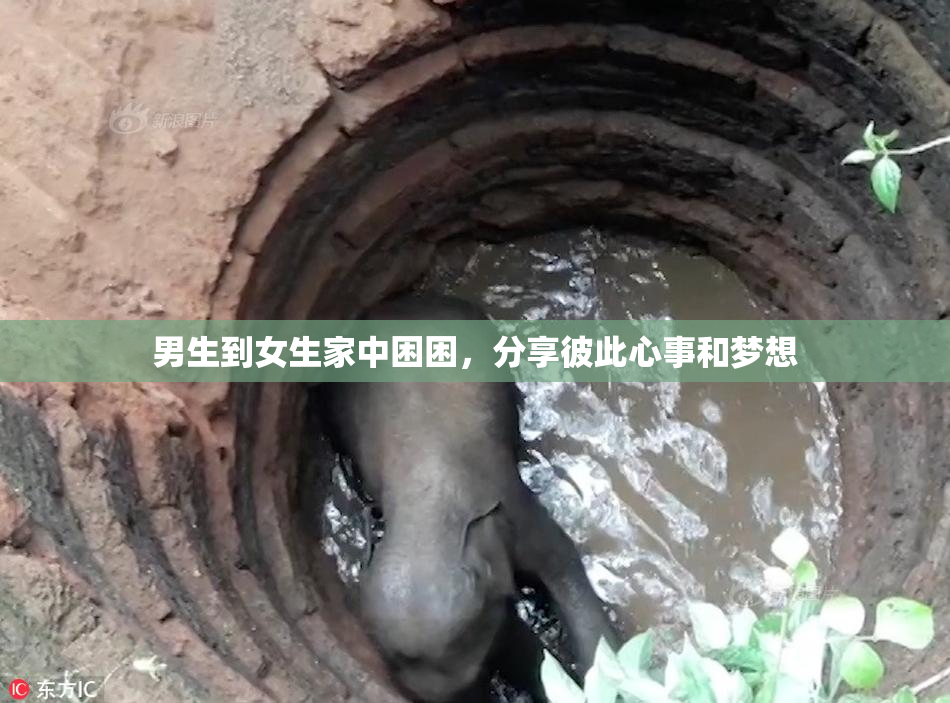男生到女生家中困困，分享彼此心事和梦想