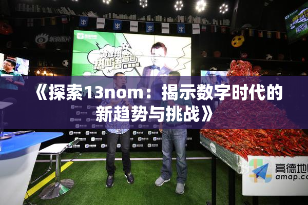 《探索13nom：揭示数字时代的新趋势与挑战》