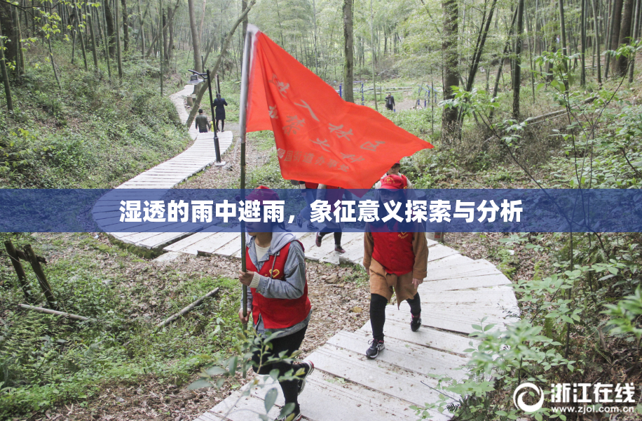 湿透的雨中避雨，象征意义探索与分析
