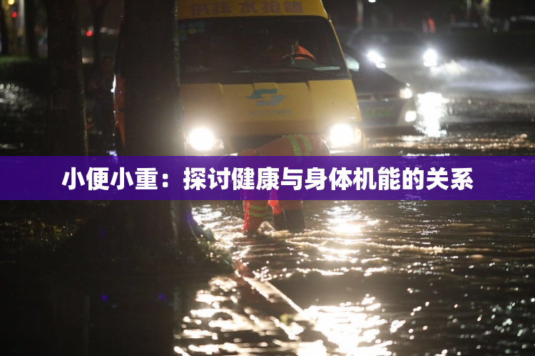 小便小重：探讨健康与身体机能的关系