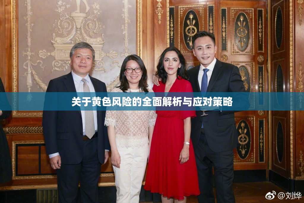 关于黄色风险的全面解析与应对策略