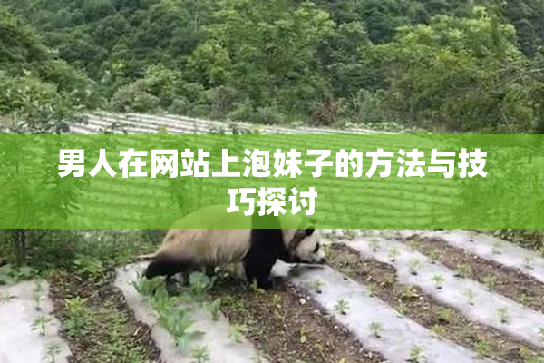 男人在网站上泡妹子的方法与技巧探讨