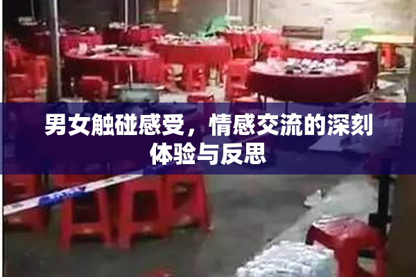 男女触碰感受，情感交流的深刻体验与反思