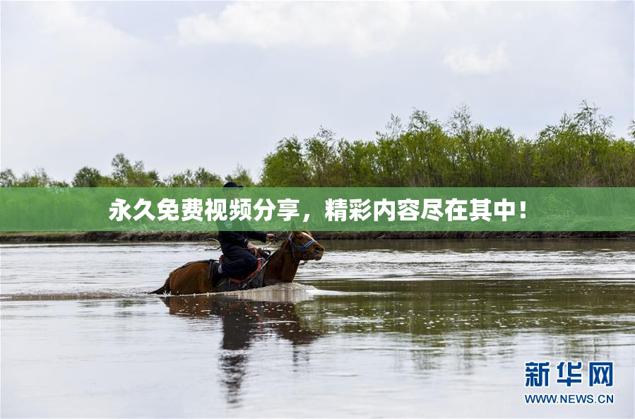 永久免费视频分享，精彩内容尽在其中！