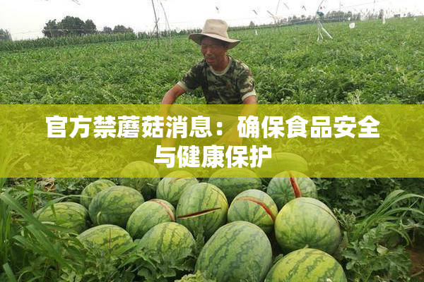 官方禁蘑菇消息：确保食品安全与健康保护