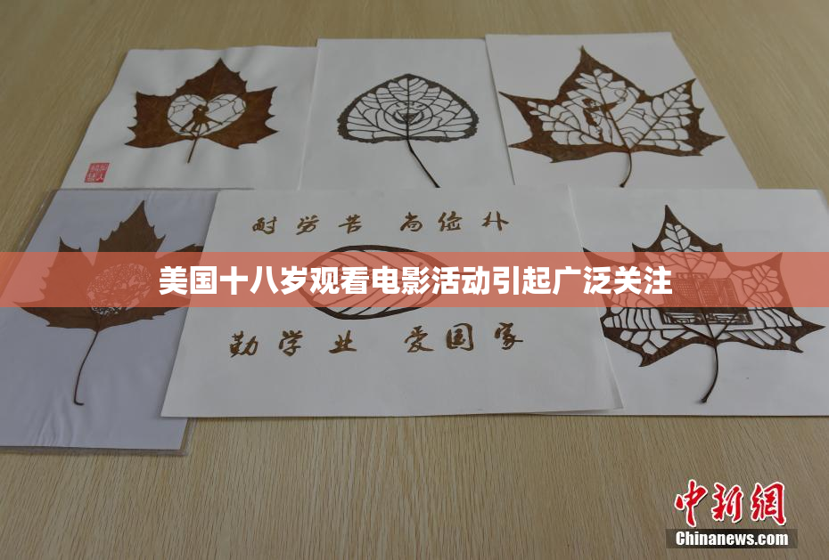 美国十八岁观看电影活动引起广泛关注