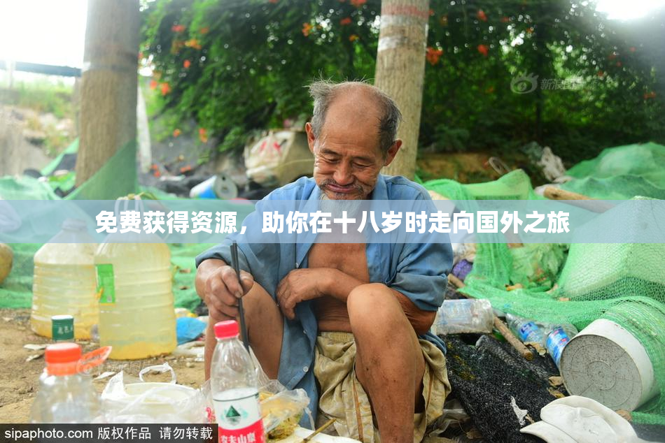 免费获得资源，助你在十八岁时走向国外之旅