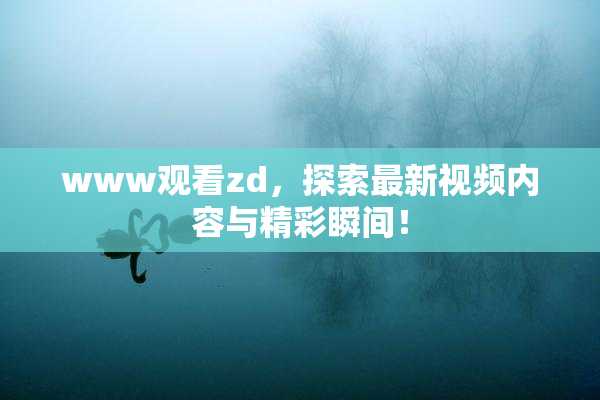 www观看zd，探索最新视频内容与精彩瞬间！
