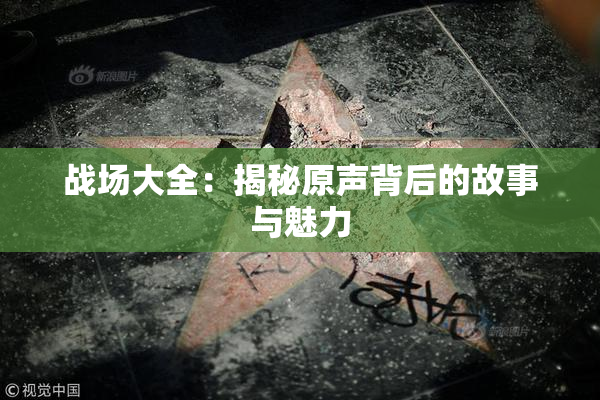 战场大全：揭秘原声背后的故事与魅力