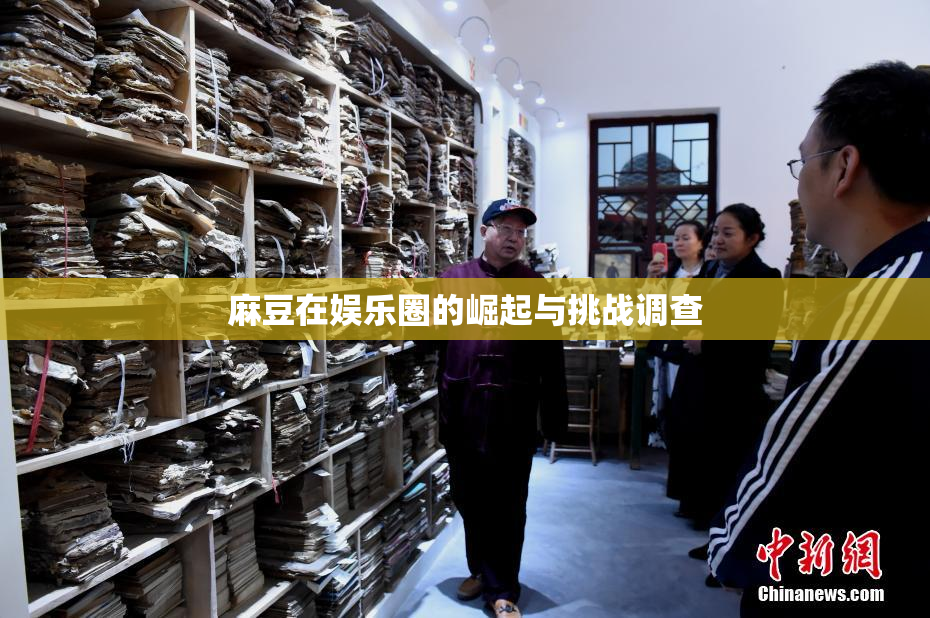 麻豆在娱乐圈的崛起与挑战调查