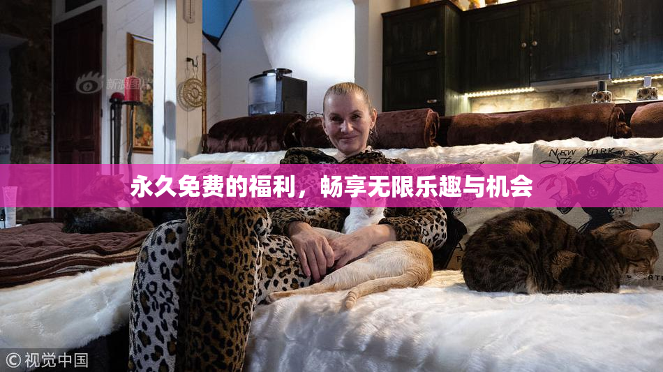 永久免费的福利，畅享无限乐趣与机会