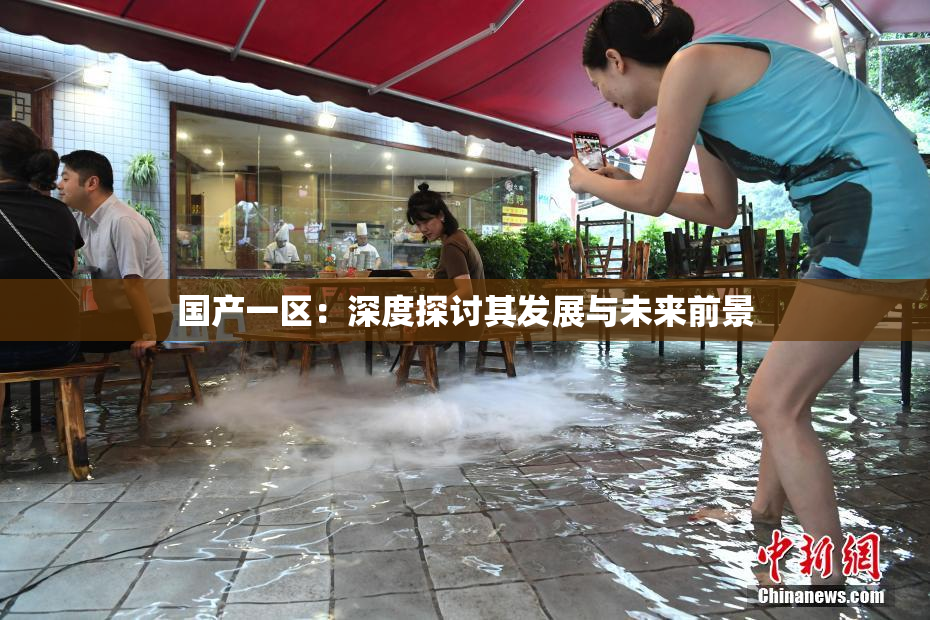 国产一区：深度探讨其发展与未来前景