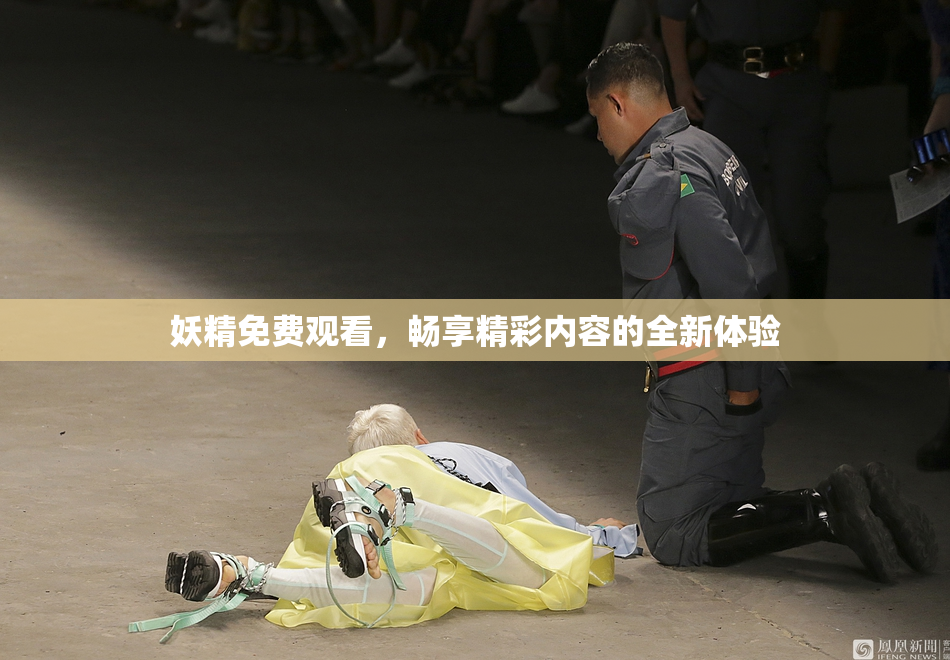 妖精免费观看，畅享精彩内容的全新体验
