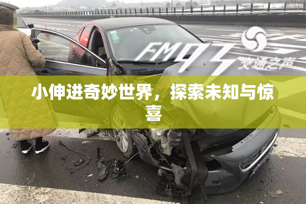 小伸进奇妙世界，探索未知与惊喜